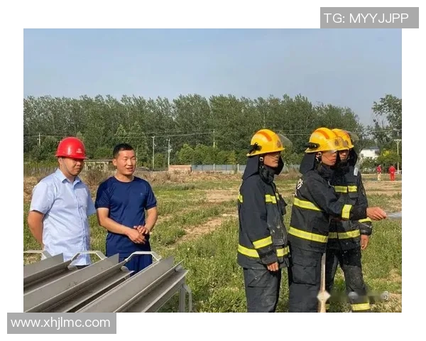 专业解析LNG市场控制策略与应对措施的深度剖析